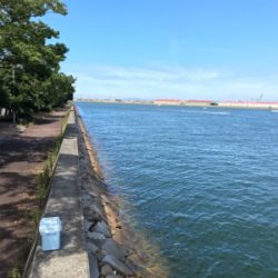 昨日のリベンジ