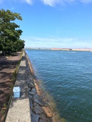 昨日のリベンジ