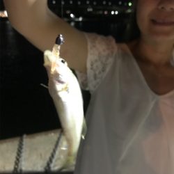 アジングでデート