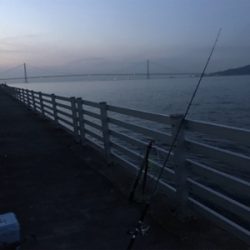 朝まづめ ショアジギ