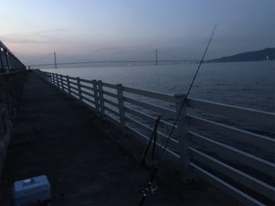 朝まづめ ショアジギ