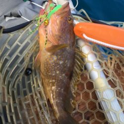 友人とマイボートでタイラバ