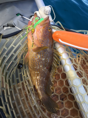 友人とマイボートでタイラバ