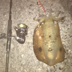 仕事終わりの釣行