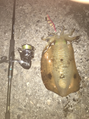 仕事終わりの釣行