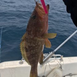 真夏のマイボート 釣行