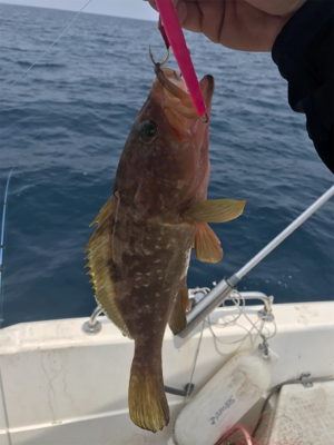 真夏のマイボート 釣行