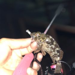 久々のmy fieldへ