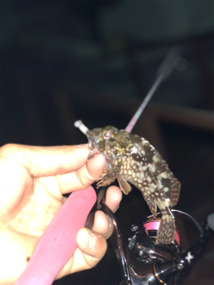 久々のmy fieldへ