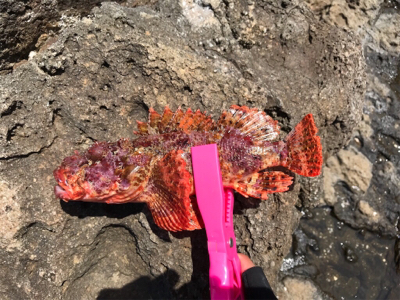 根魚活性高し！