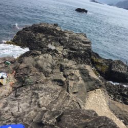 初ペンペンペンペンシイラ