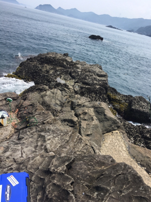 初ペンペンペンペンシイラ