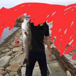 70オーバーのシーバスゲット