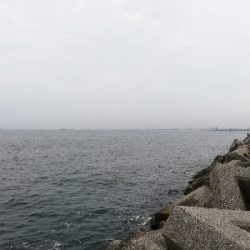 台風前の一発狙い