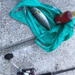 ゆうまづめのジギング