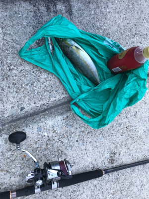 ゆうまづめのジギング