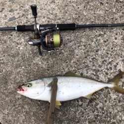 タチウオ狙いで8目釣り