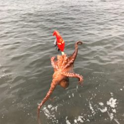 キター！って思ったけど