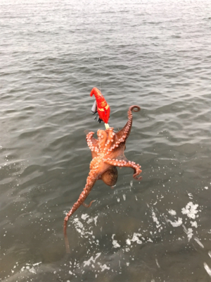 キター！って思ったけど