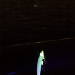 待ってました! F1.5!