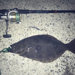 初‼︎ヒ〜ラ〜メ〜！