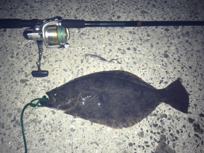 初‼︎ヒ〜ラ〜メ〜！