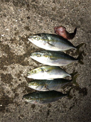 ツバスも大っきなってきたぞ！！！！