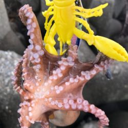 今日は、まぁまぁ！