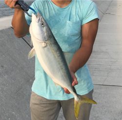 ショアジギexcellent‼️