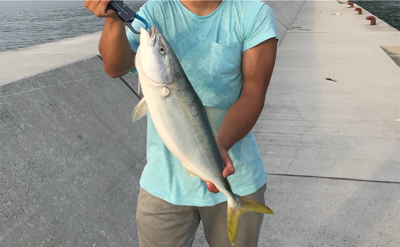 ショアジギexcellent‼️