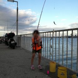 ファミリーフィッシング