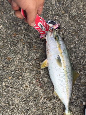 ゴミの中から！