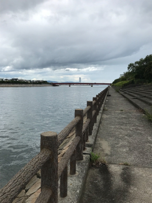 台風後期待して