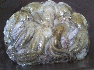 台風一過でオクトパッシング