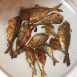 南港にて、アジがいい感じ。