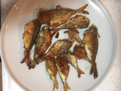 南港にて、アジがいい感じ。