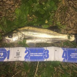 大野川水系ナイトゲーム