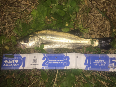 大野川水系ナイトゲーム