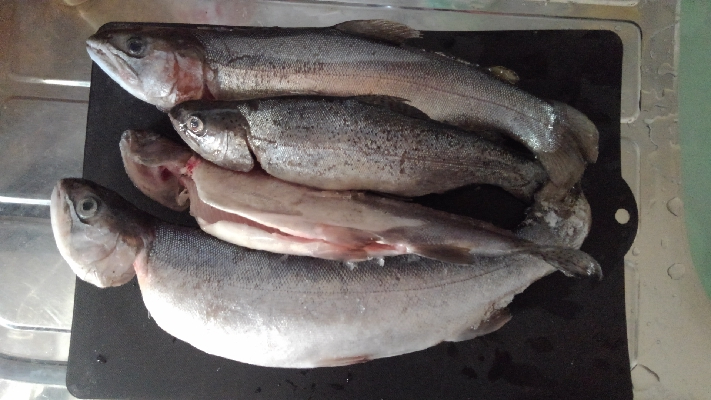 魚の里すぎしま