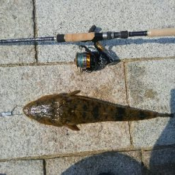 ボーズのがれました