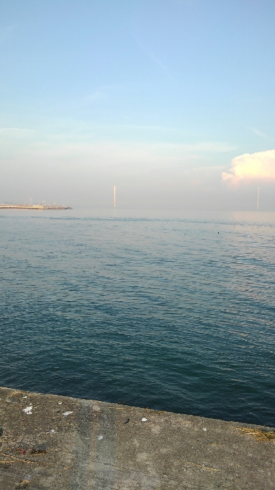 やっと釣れた。