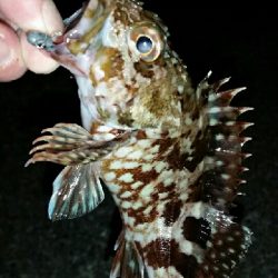 日が沈めば暑さはマシ