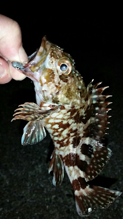 日が沈めば暑さはマシ