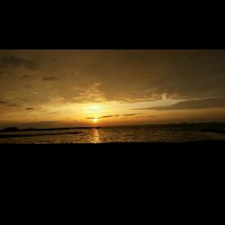 ショートバイト