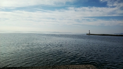 ピンギスばかり