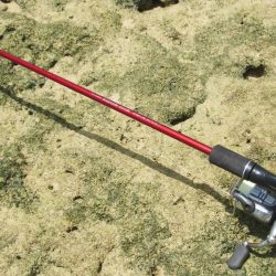 暑い中の釣行！