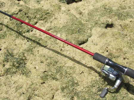 暑い中の釣行！