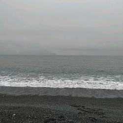 サーフジギングで青物釣れてます！