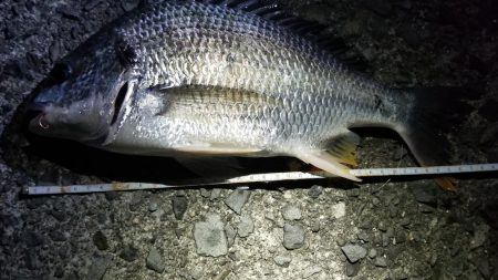 夕方に三時間！