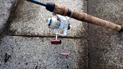 はじめて～の～チヌ♪